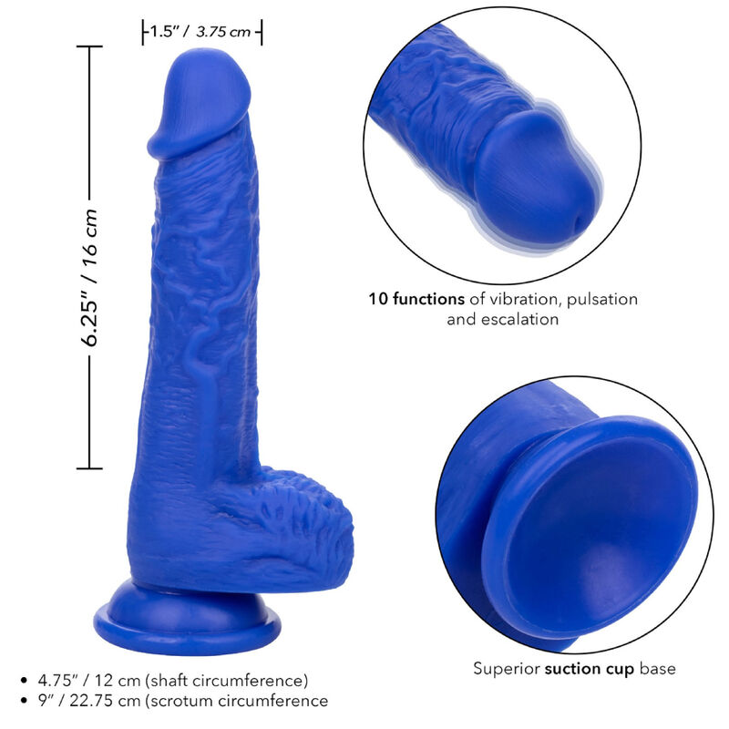 CALEXOTICS - ADMIRAL SAILOR REALISTISCHER DILDO-VIBRATOR BLAU – Bild 3